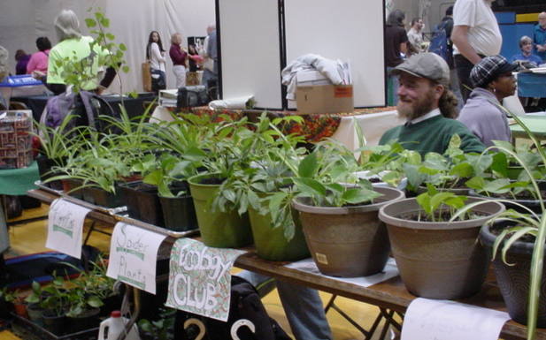 A smiling bearded man sitting in front of a table completely full of plants